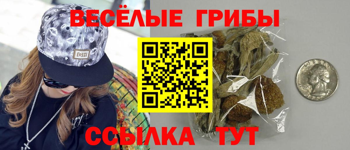 Псилоцибиновые грибы Magic Shrooms Вязьма